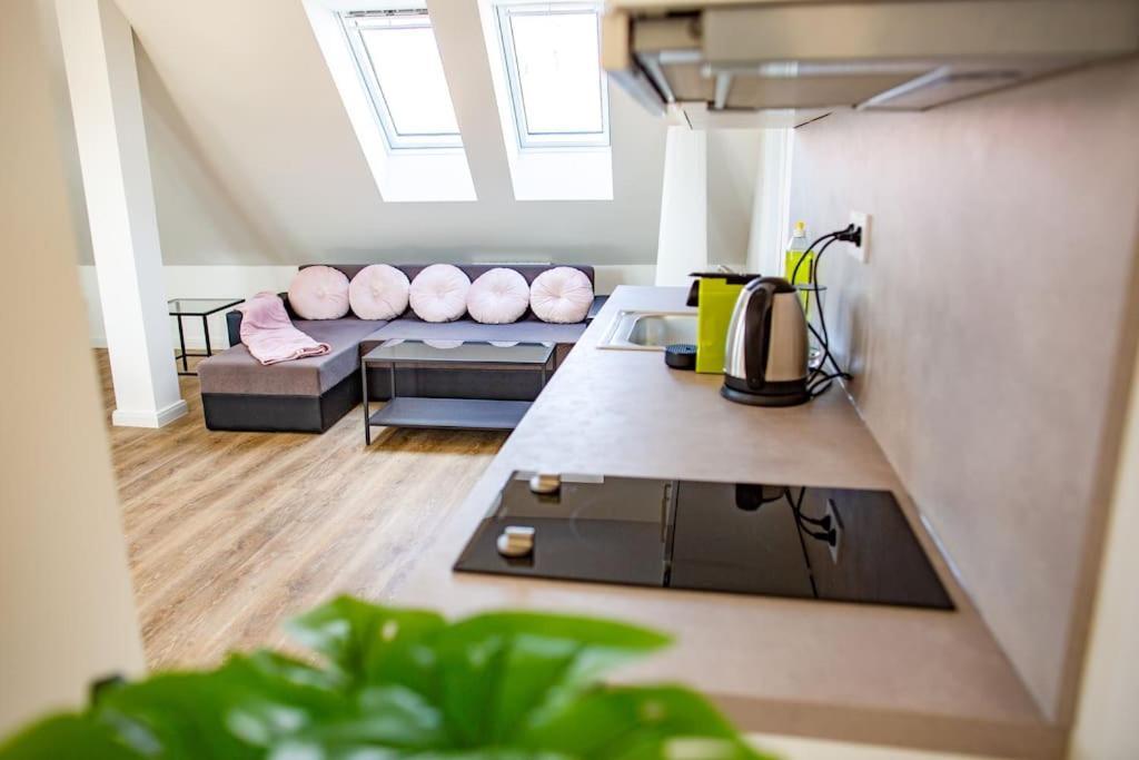 Apartment Bohemia 95m Prague